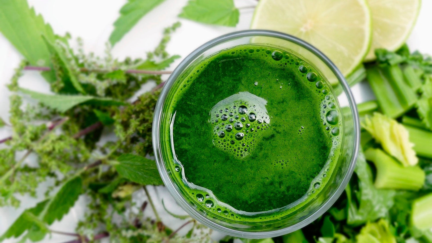 immune defence supplements